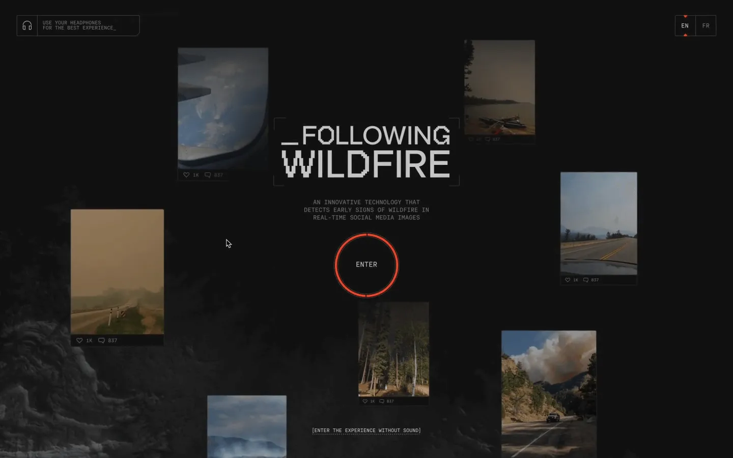 Following Wildfire image 1