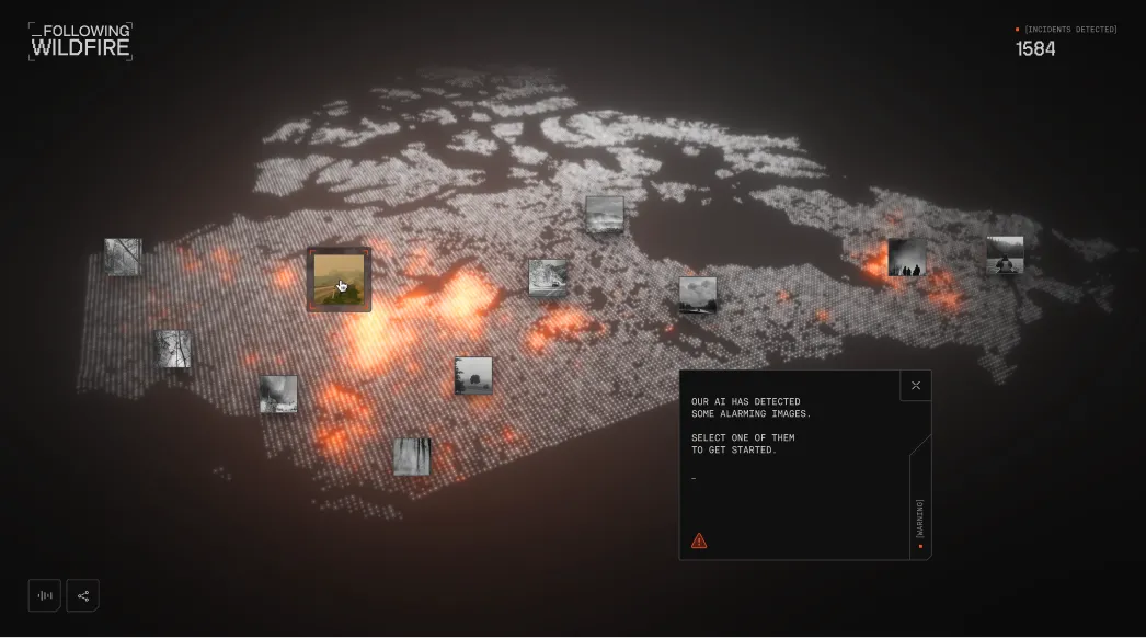 Following Wildfire image 5