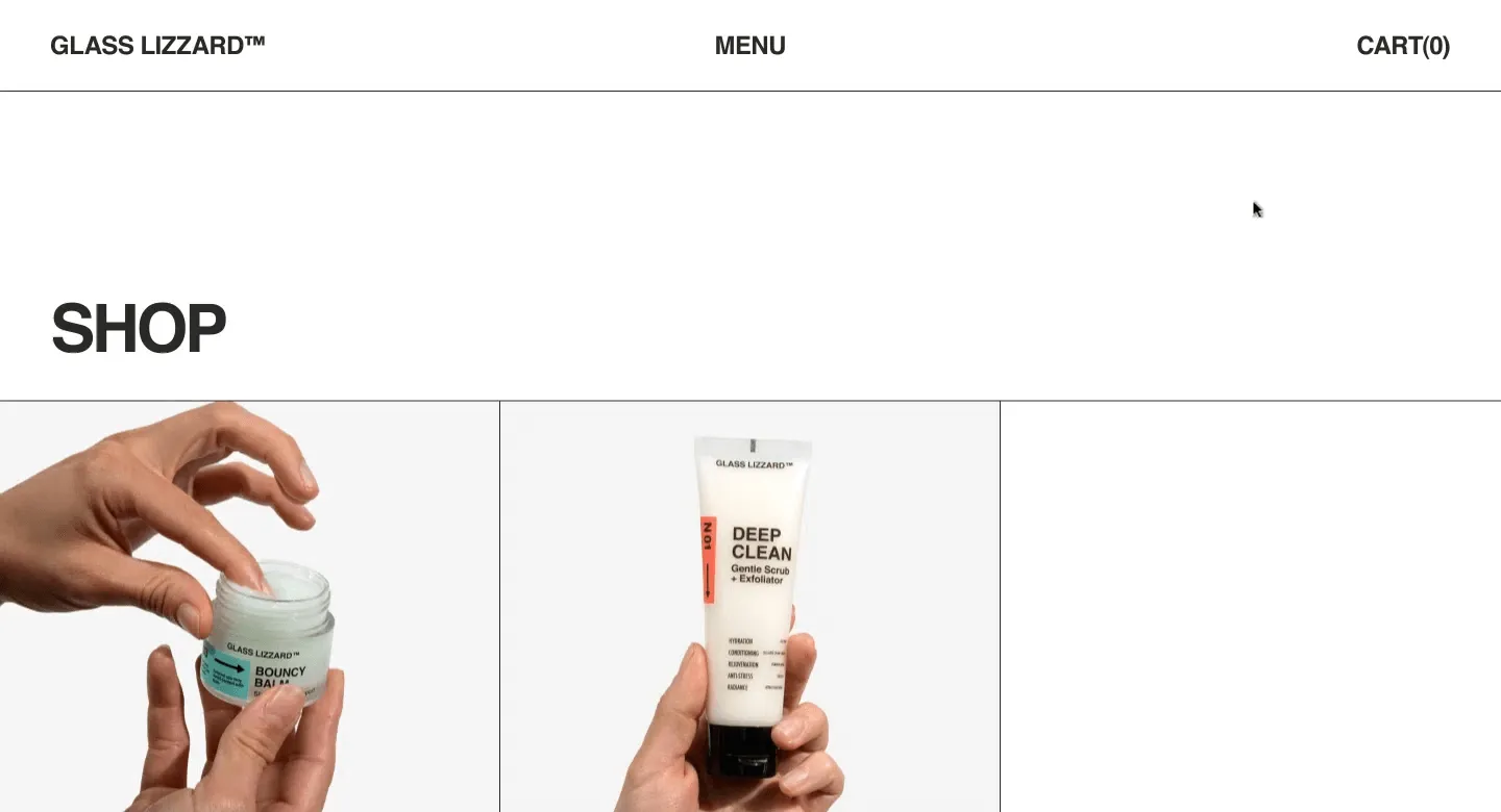 Glass Lizzard image 3